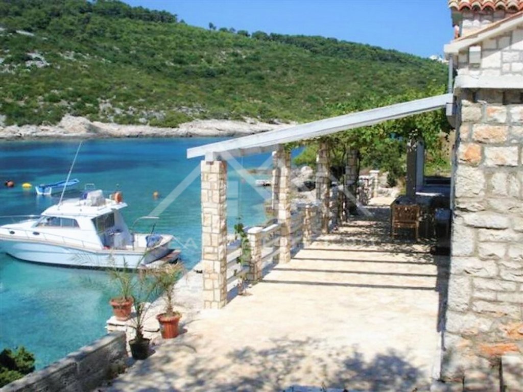 Vis