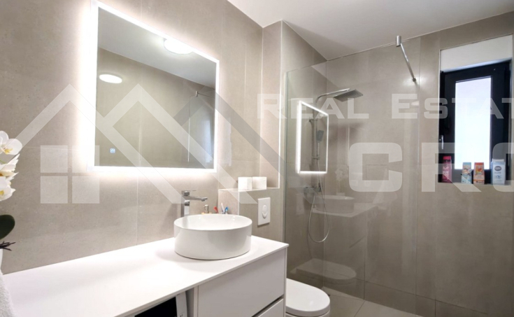 Modern and spacious apartments, in a gr (4)