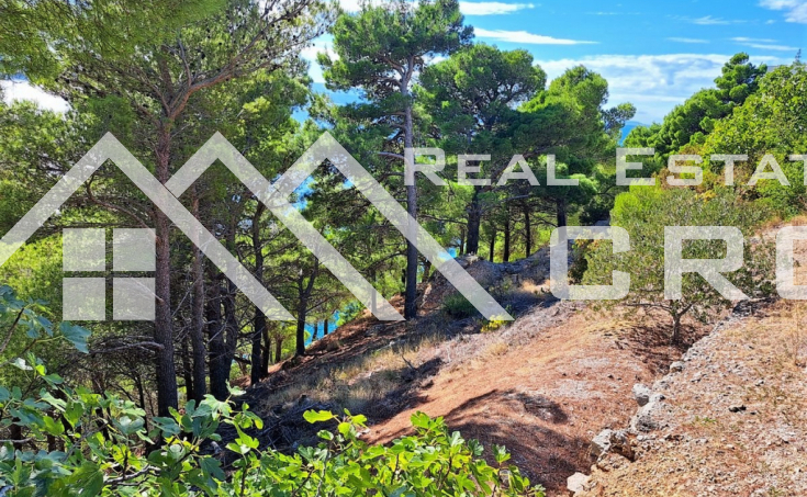 House with a large land plot, in the first row to the sea and with access to a beach, surro (1)