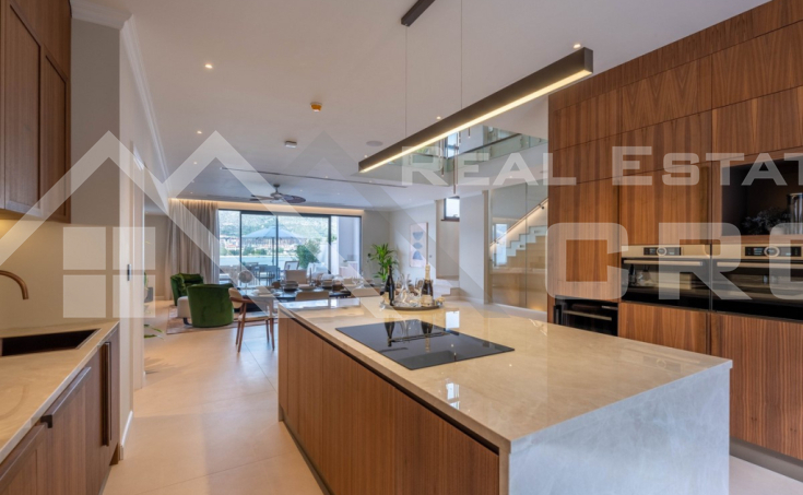 Magnificent, fully appointed beachfront villas with infinity pools and garages, for sale (1 (16)