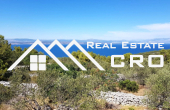 Large building plot in a peaceful environment with a gorgeous view of the sea, for sale (4)