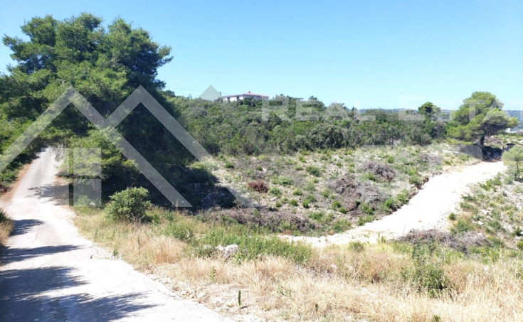 Spacious building plot in a peaceful location near the sea, for sale (2)