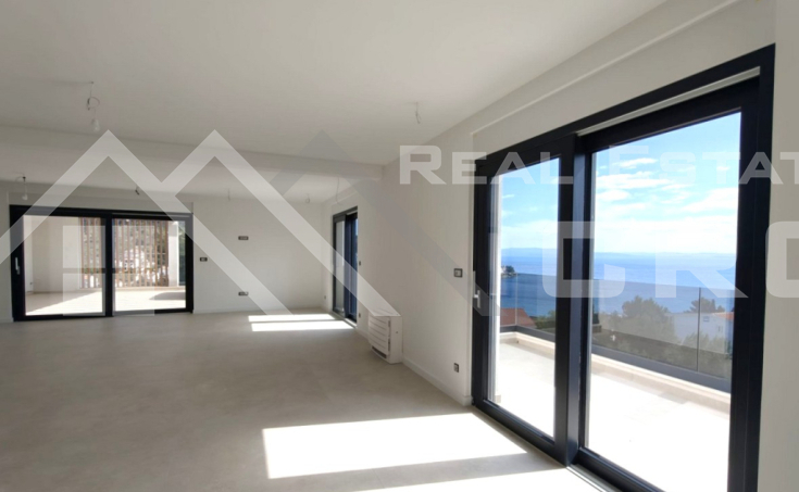 Exceptional penthouse apartme (6)