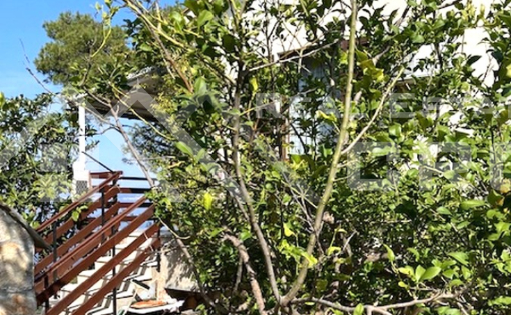 House for renovation in a peaceful location, near the sea and a beach, for sale (3)