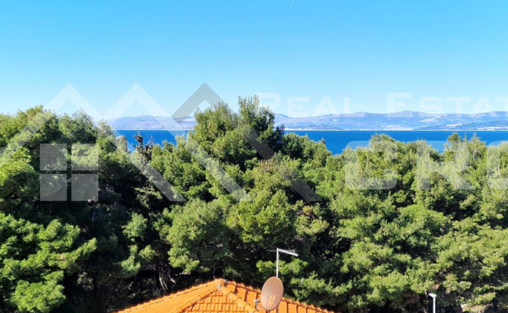 Elegantly furnished duplex penthouse near the sea and a beach, for sale (1)