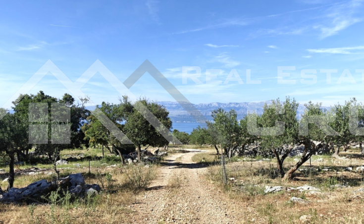  Large agricultural land with a countryside house, in Supetar, for sale (4)