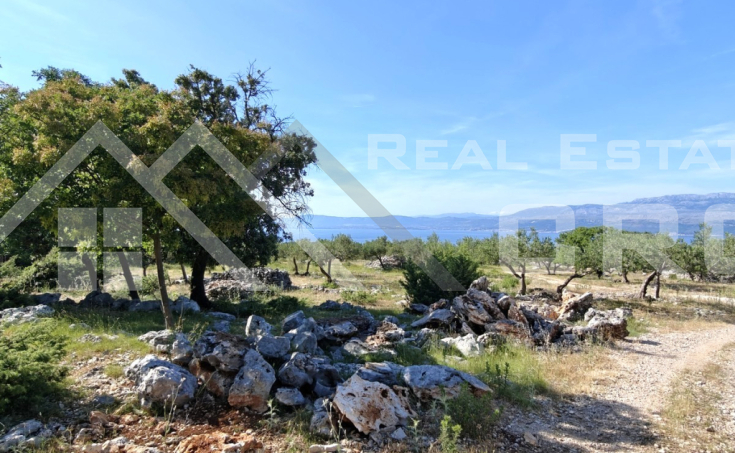  Large agricultural land with a countryside house, in Supetar, for sale (5)