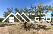  Large agricultural land with a countryside house, in Supetar, for sale (6)