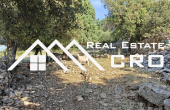  Large agricultural land with a countryside house, in Supetar, for sale (7)