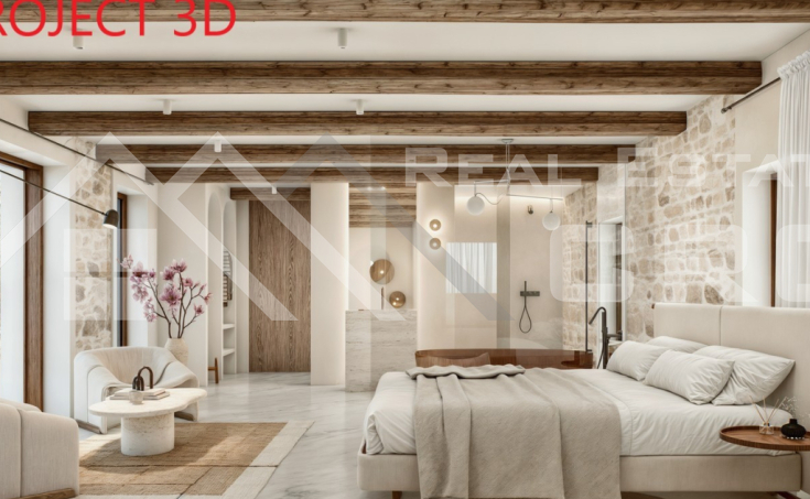 Historic stone house with a renovation project for a luxury villa, for sale (1)