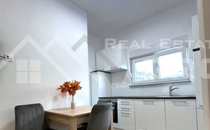 Well-equipped one-bedroom apartment with a small courtyard, for sale (4)
