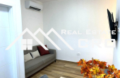 Well-equipped one-bedroom apartment with a small courtyard, for sale (6)