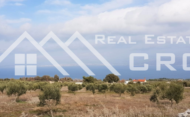 Farmland with a superb sea view for sale, Supetar (2)