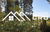 Seaview house for sale in nice location in Postira, Brac  (4)