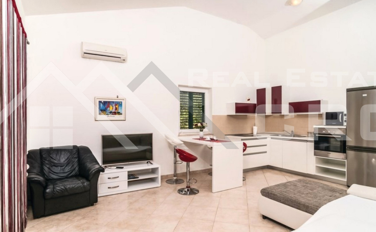 Large apartment house with a swimming pool and a beautiful sea view, for sale (7)