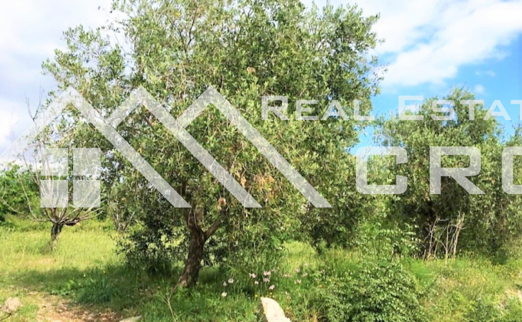 Building land in a quiet residential area, in Kastela, for sale (3)