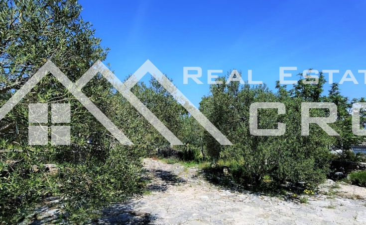 Spacious land plot in a beautiful surrounding, near the sea and a beach, for sale (2)