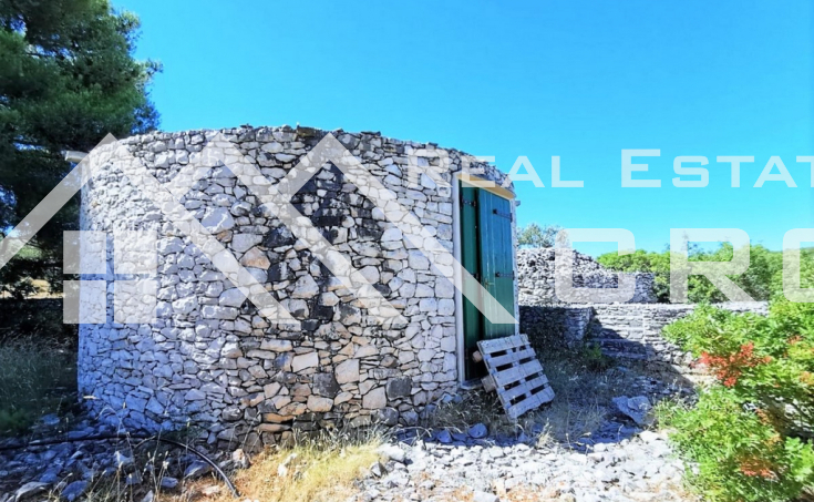 Large agricultural land with a stone house and olive trees, for sale (3)